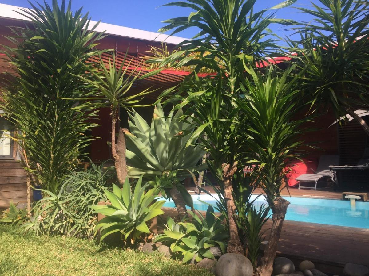 Ti Koin Trankil Belle & Spacieuse Villa Tropicale Сен-Пиер Екстериор снимка